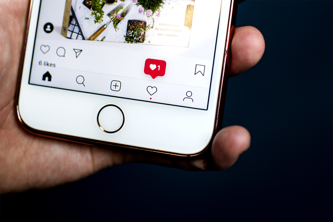 Instagram stock